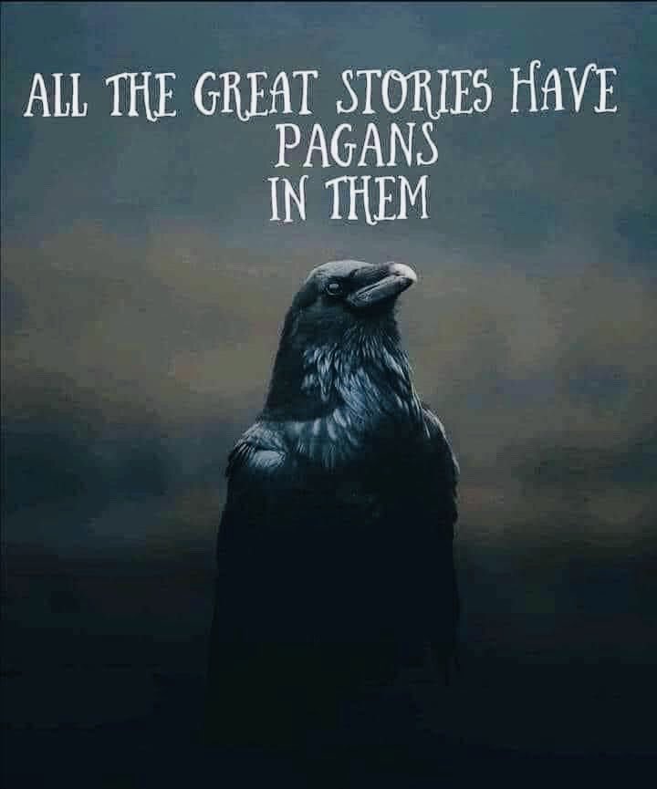 BklineBetty's tweet photo. https://t.co/rxVE69Snon