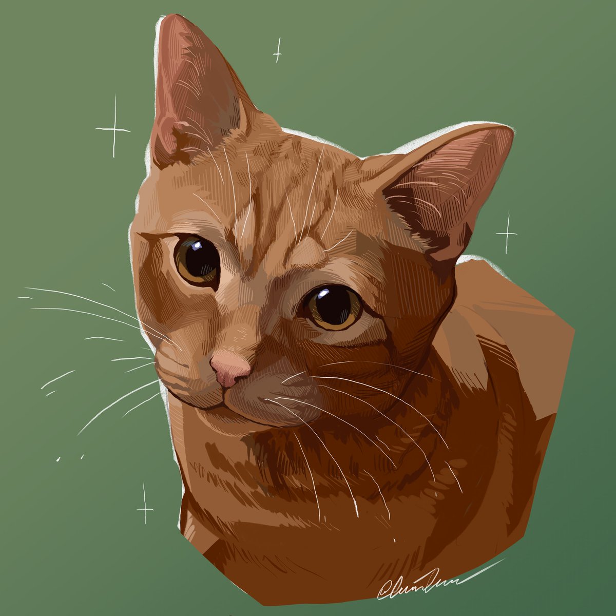 「Some cats I've drawn this year :D 」|ANDY!!! is trying his bestのイラスト