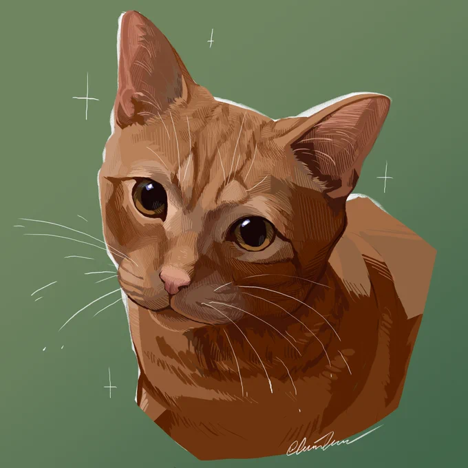 Some cats I've drawn this year :D 