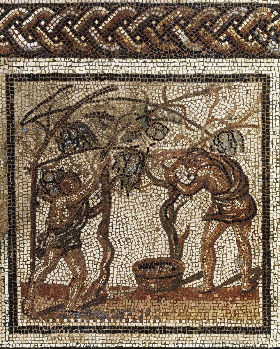 de_chardin's tweet image. Vendange sur un arbre vivant, détail de la mosaïque du calendrier agricole, provenant de Saint-Romain-en Gal (Rhône), début du IIIe siècle de notre ère. 

Musée d'archéologie nationale, Saint-Germain-en-Laye.