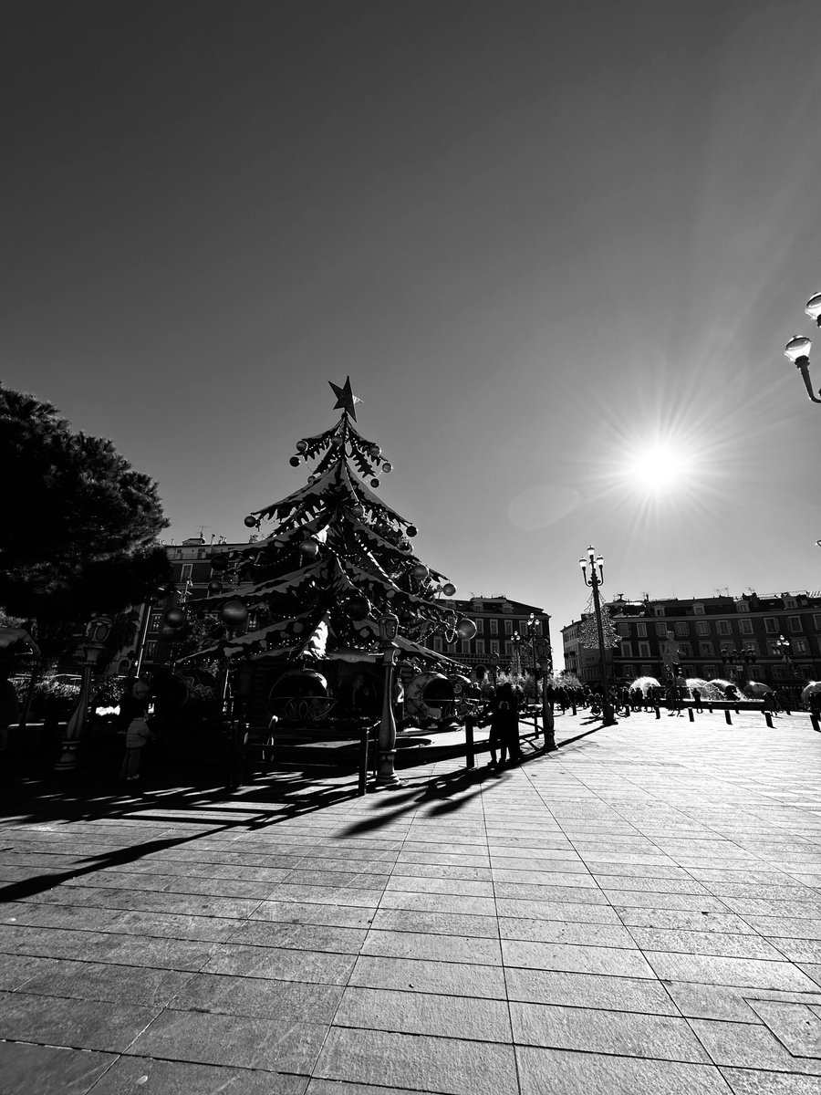 Alonein43672278's tweet photo. #photography #blackandwhite #christmatree #sun https://t.co/VQ3ZZiyx7a