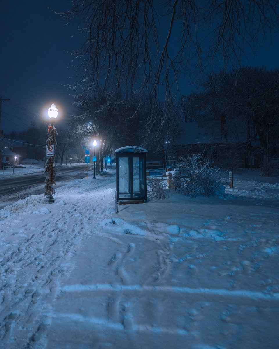 _thecolorfulkid's tweet photo. As winter settles in https://t.co/saNg3omJjx