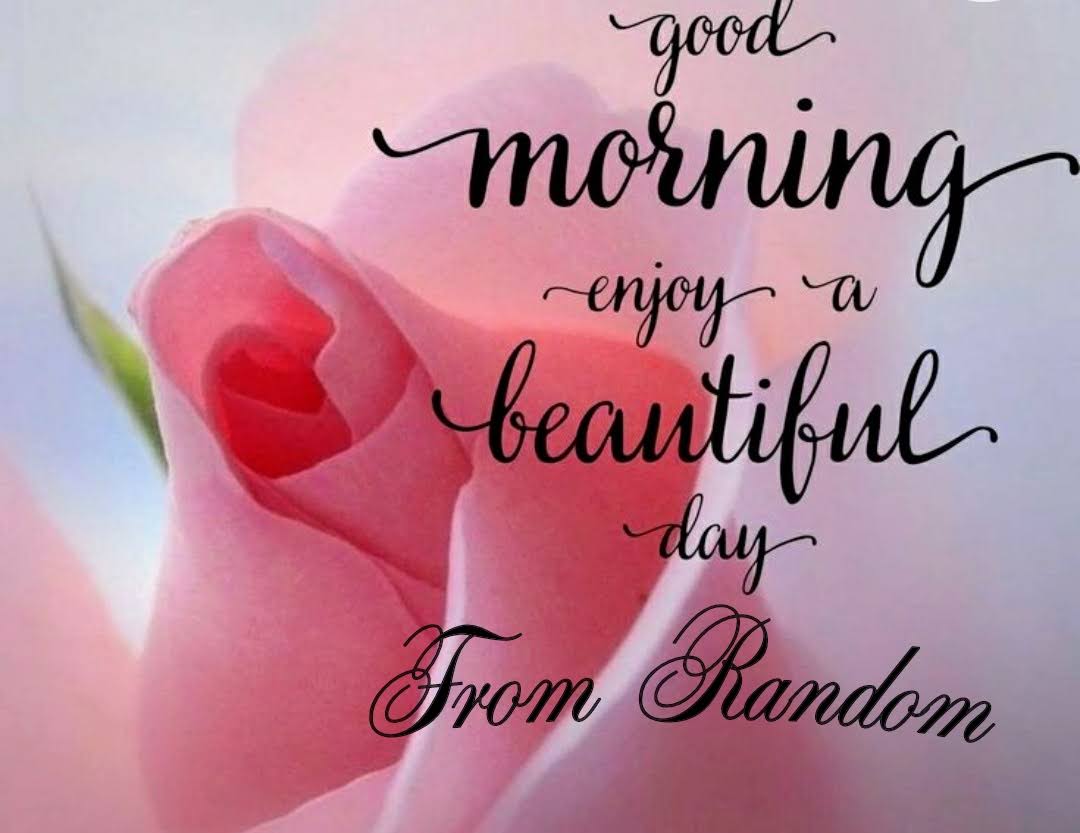 Random Thinkin (1A 2A #ProLife #Conservative) tweet media