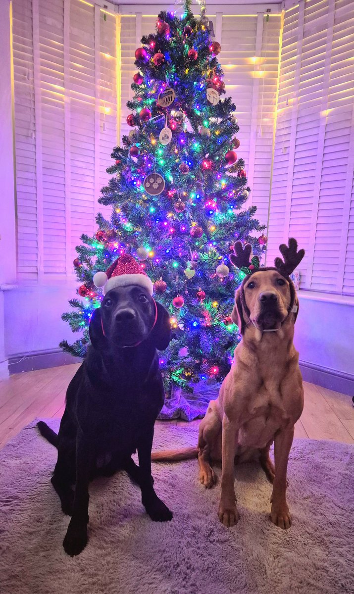 Christmas is here! ✨❤️