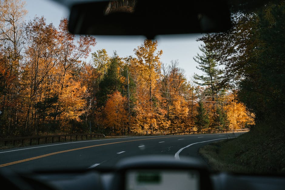 FriscoDriving's tweet image. Looking to refresh your driving skills? Frisco Driving School offers refresher courses for experienced drivers looking to stay sharp. #RefresherCourses #ExperiencedDrivers #FriscoTX