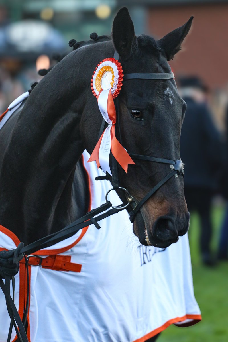 EmmaOBrien2204's tweet image. AL BOUM PHOTO @TreoEileRIR