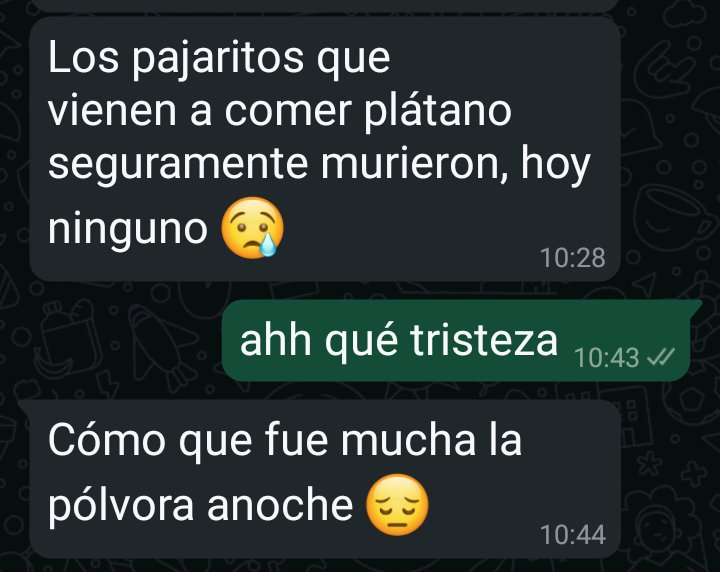 Medellín, 1 de diciembre de 2024. Mi mamá: