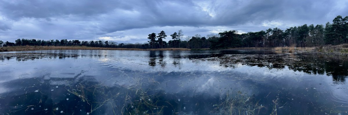 Zo moet het Langven #Best zijn. Stijlvol, nat, ecologisch waardevol en een lust voor het oog. Rondje Langven? Laarzen aan! 💪