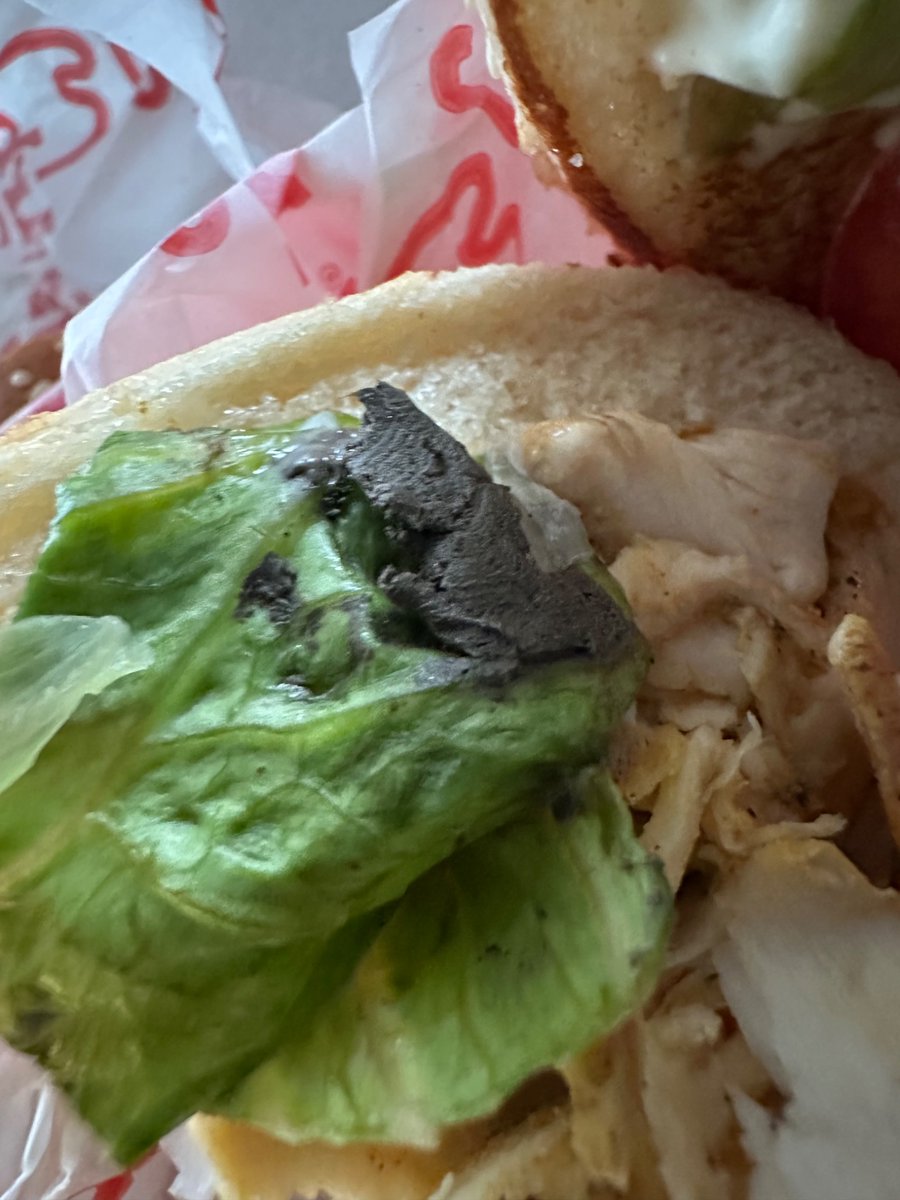 bestercan's tweet photo. Hamburger’in içinden iğrenç kocaman balçık gibi bir pislik çıktı! @Arbys @ArbysTr @tabgidakurumsal  gerçekten insan hayatını bu kadar ucuzlaştırmanız iğrenç! Bunun korkunç bir cezası olmalı ama bu ülkede o da yok! Rezaletin bu kadarı suçtur! https://t.co/WP26owINqT