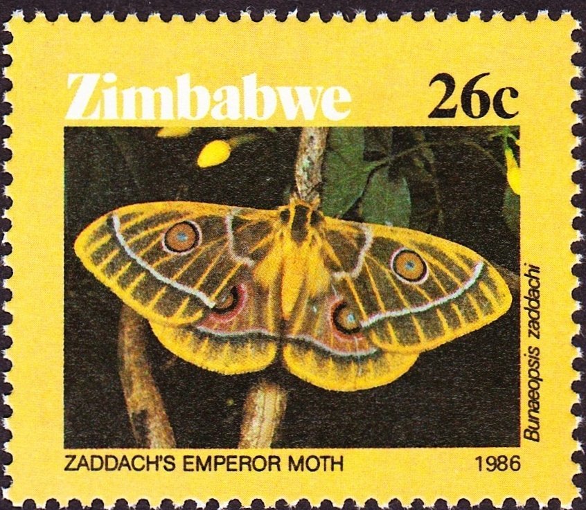 Stamps Bot (@stampsbot) on Twitter photo 