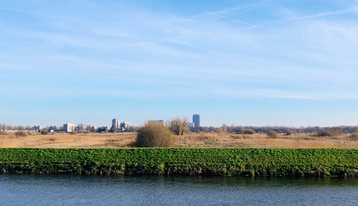 Leonie van der Kruk tweet media