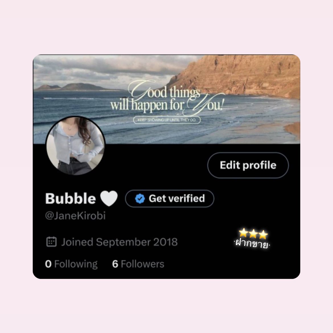 bleu 𐙚 , tweet media