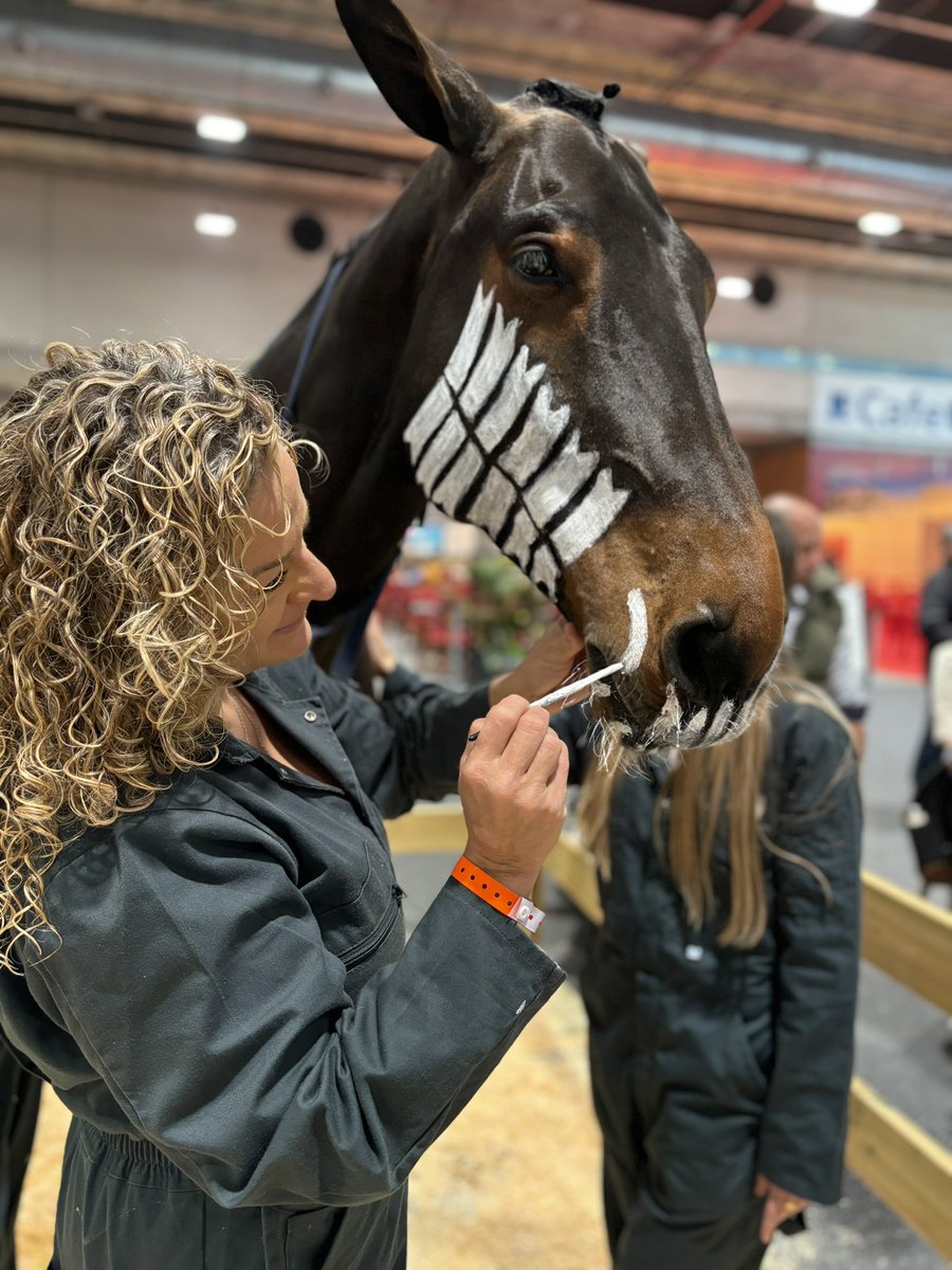 COLVEMA's tweet photo. Gracias a los  compañer@as de la Asociación de Veterinarios Especialistas en Équidos por su compromiso, ciencia y talento en la #MadridHorseWeek para demostrar a pie de pista el papel  esencial de la profesión en la salud y bienestar de los caballos👏👏👏
#COLVEMA
#VETERINARI@S https://t.co/AlqlwslFpa