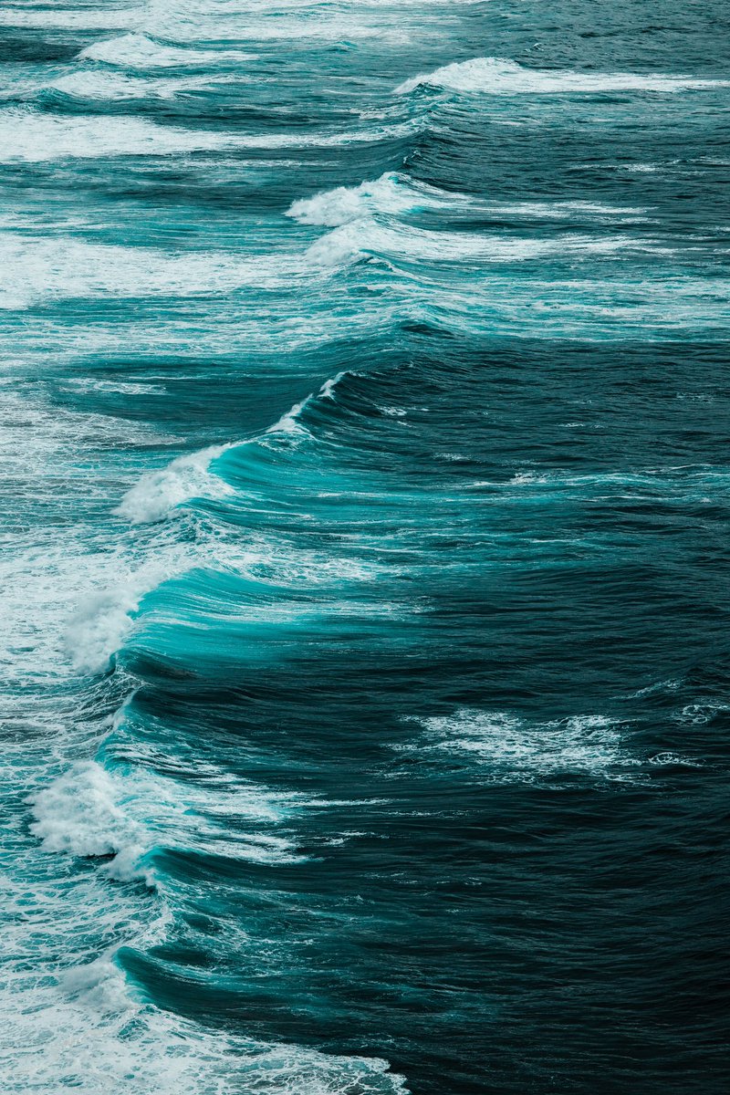 jaimedelpizz0's tweet photo. faces of the sea https://t.co/nhLleHQbLD
