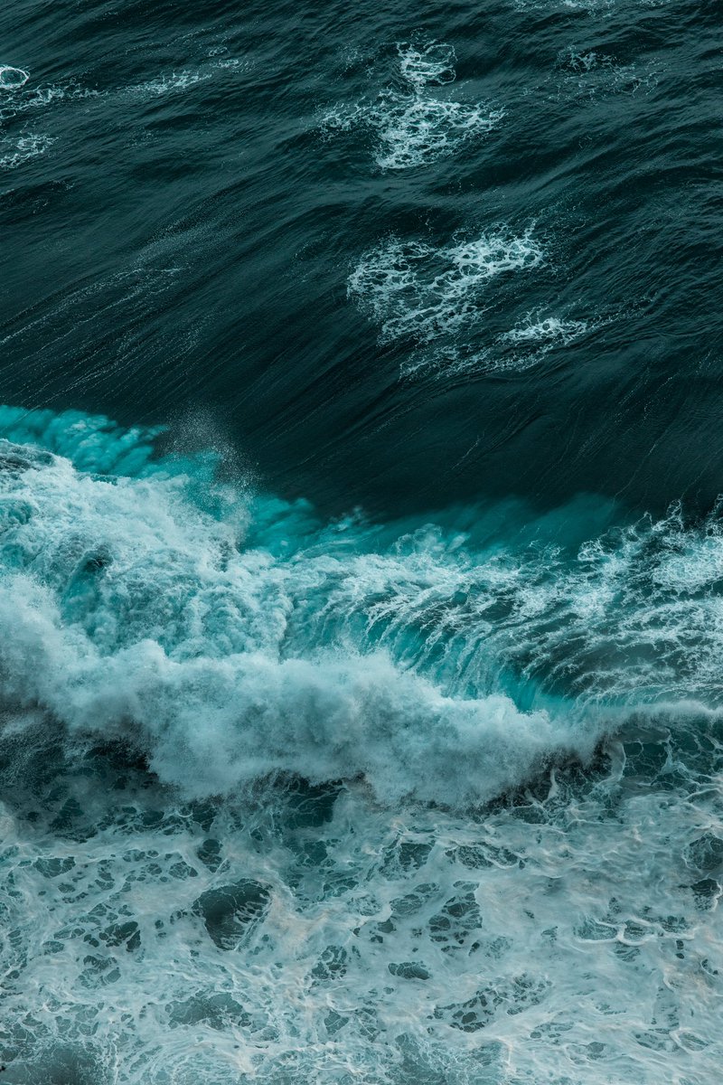 jaimedelpizz0's tweet photo. faces of the sea https://t.co/nhLleHQbLD
