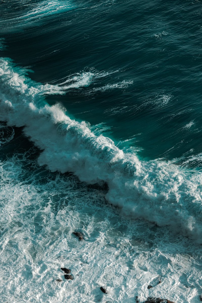 jaimedelpizz0's tweet photo. faces of the sea https://t.co/nhLleHQbLD