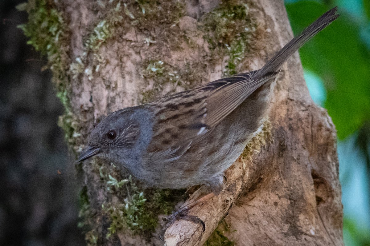 Northern Experience tweet media