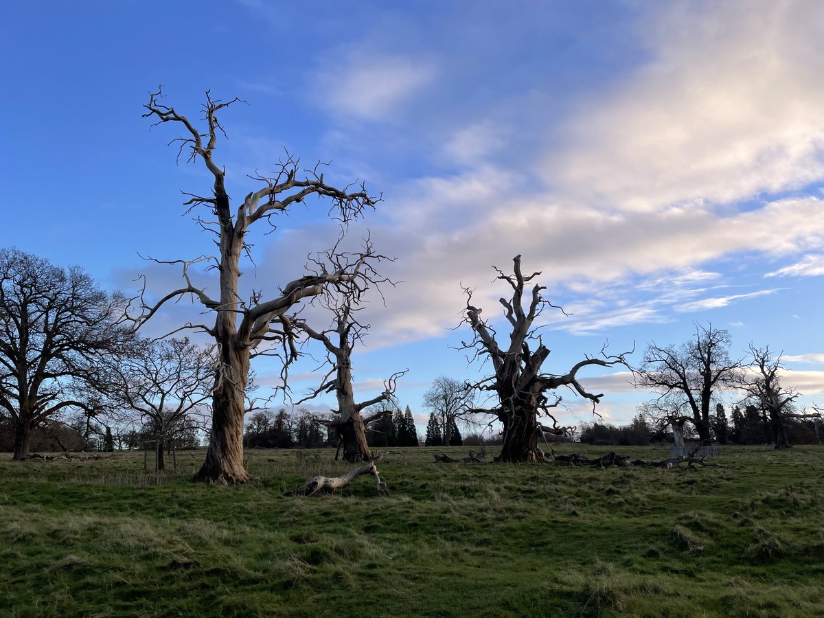 After being so poorly all week it was nice to get out in the sun this afternoon and get some fresh air inside me ….live sunny winter afternoons but tres muddy ….hey who cares ♥️♥️