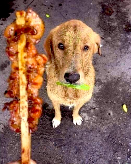 ARC_BASHEER's tweet photo. This photo was taken by a vendor sitting on a sidewalk. https://t.co/muPCTjOVHA