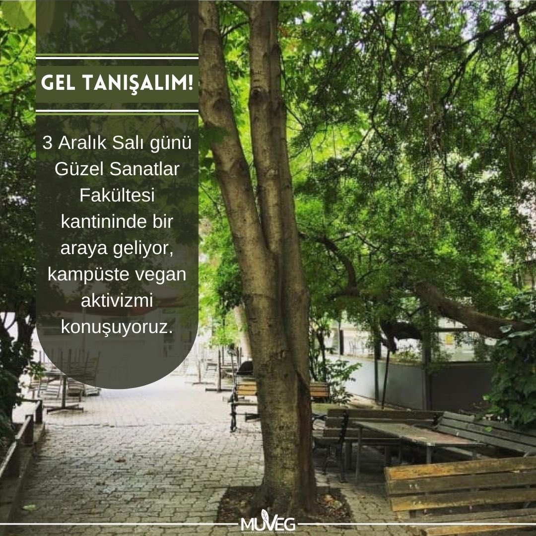 marmaravegan's tweet photo. https://t.co/zQwnVJbyl2