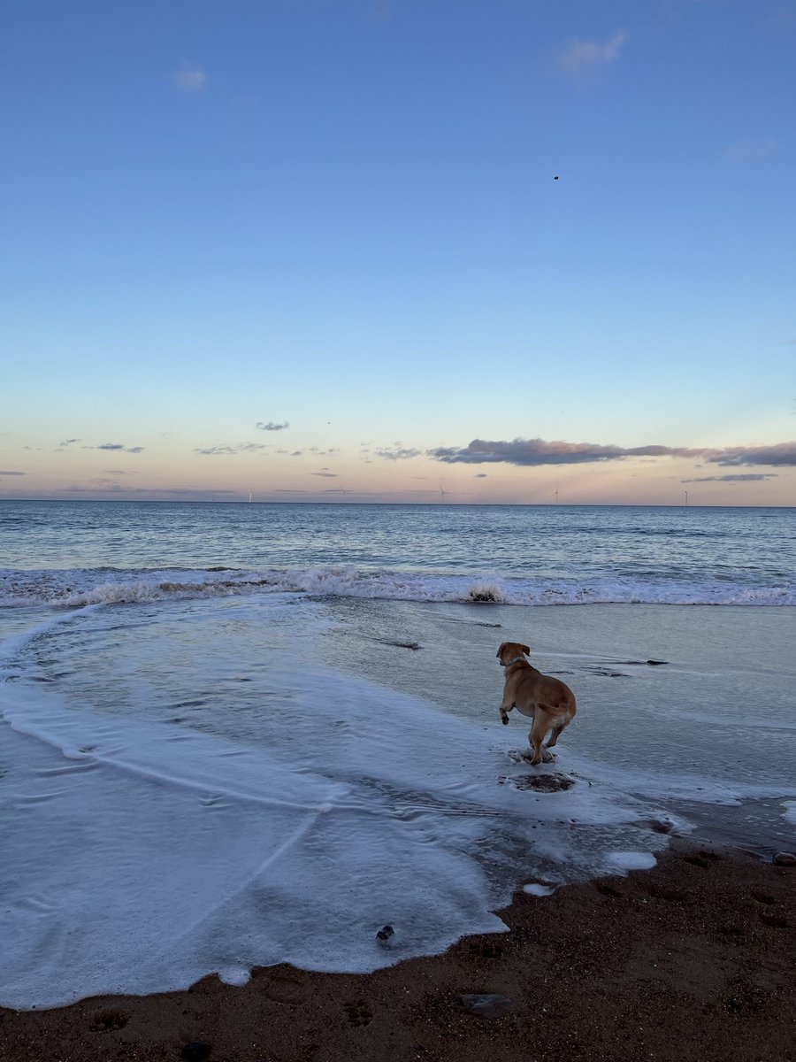 Fun at the beach #011224