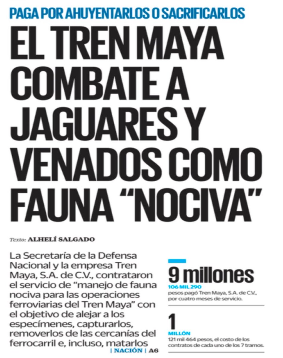 Hijos de la gran puta. Eso es lo que son