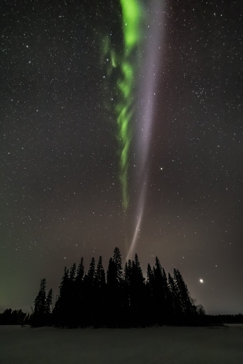 Intrepid tweet media