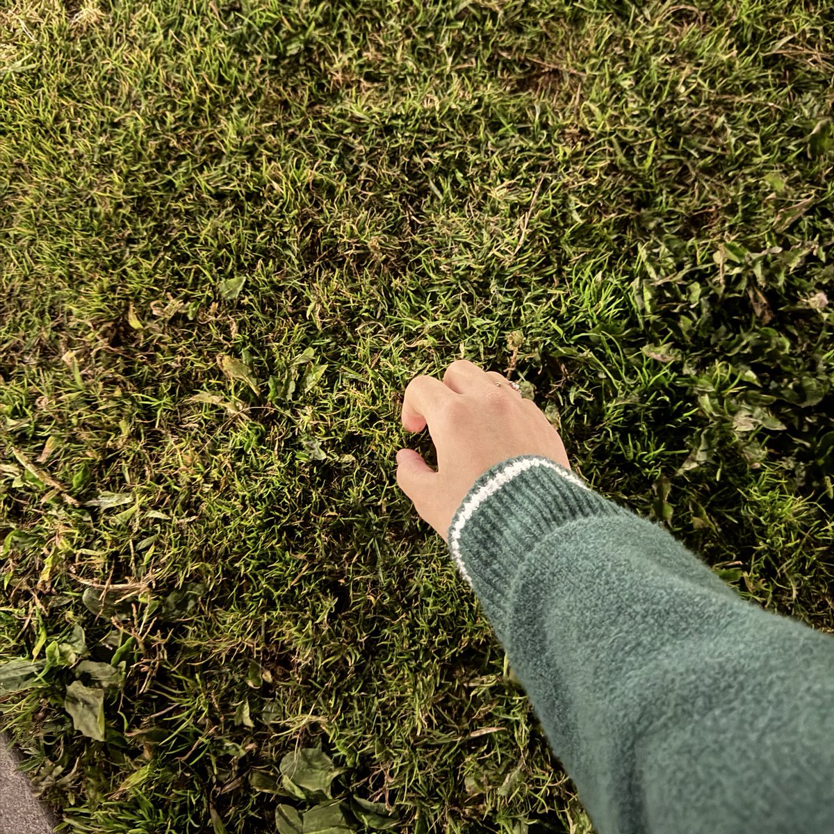 rosiesbitchxx's tweet photo. some people can’t relate #gotouchsomegrass https://t.co/m4jJEsUBs3