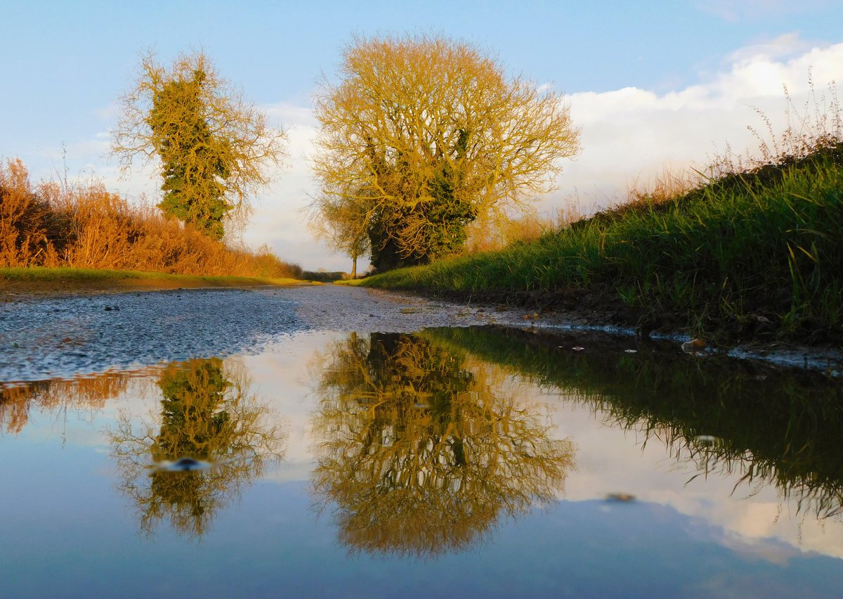 IanW1985's tweet image. #sundayafternoon sunshine after the morning rain in Lincolnshire #loveukweather #puddlereflection