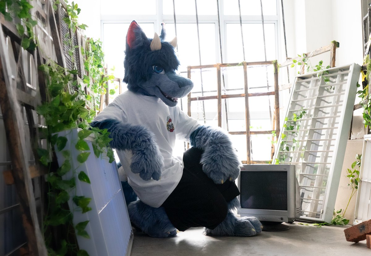 Mod the shark dragon has a fresh new look, just in time for FURUM!! 🦈🐉

This time he has went for a more toony style, with a moving jaw, poseable ears and interchangeable tongues!