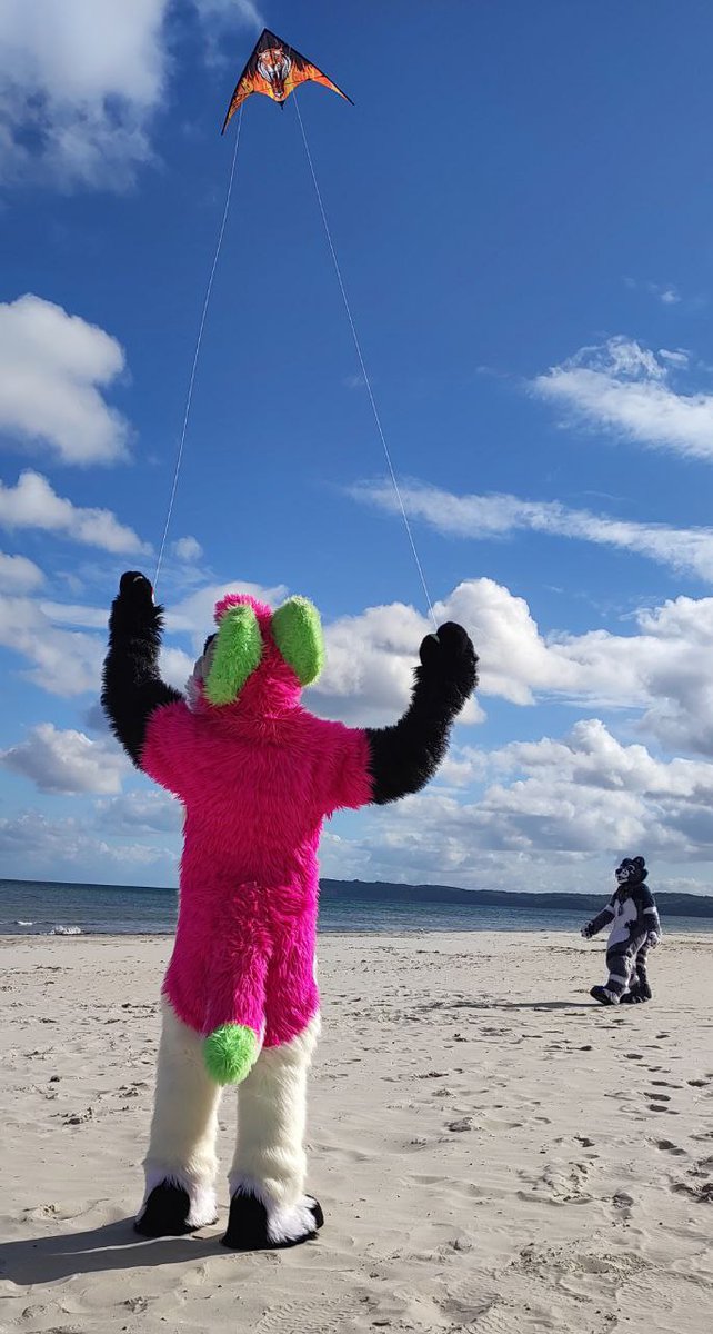 Nao_the_wolf's tweet photo. It is pretty hard to fly a kite in fullsuit at the beach, still a very nice memorie, even tho I've been struck by one X3 https://t.co/auCvKa3kmO