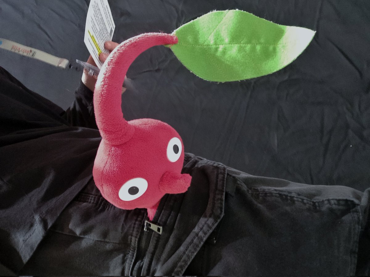 Hidden Arts tweet media