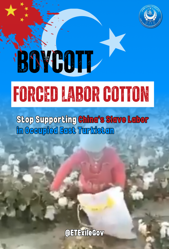 Salih Hudayar tweet media