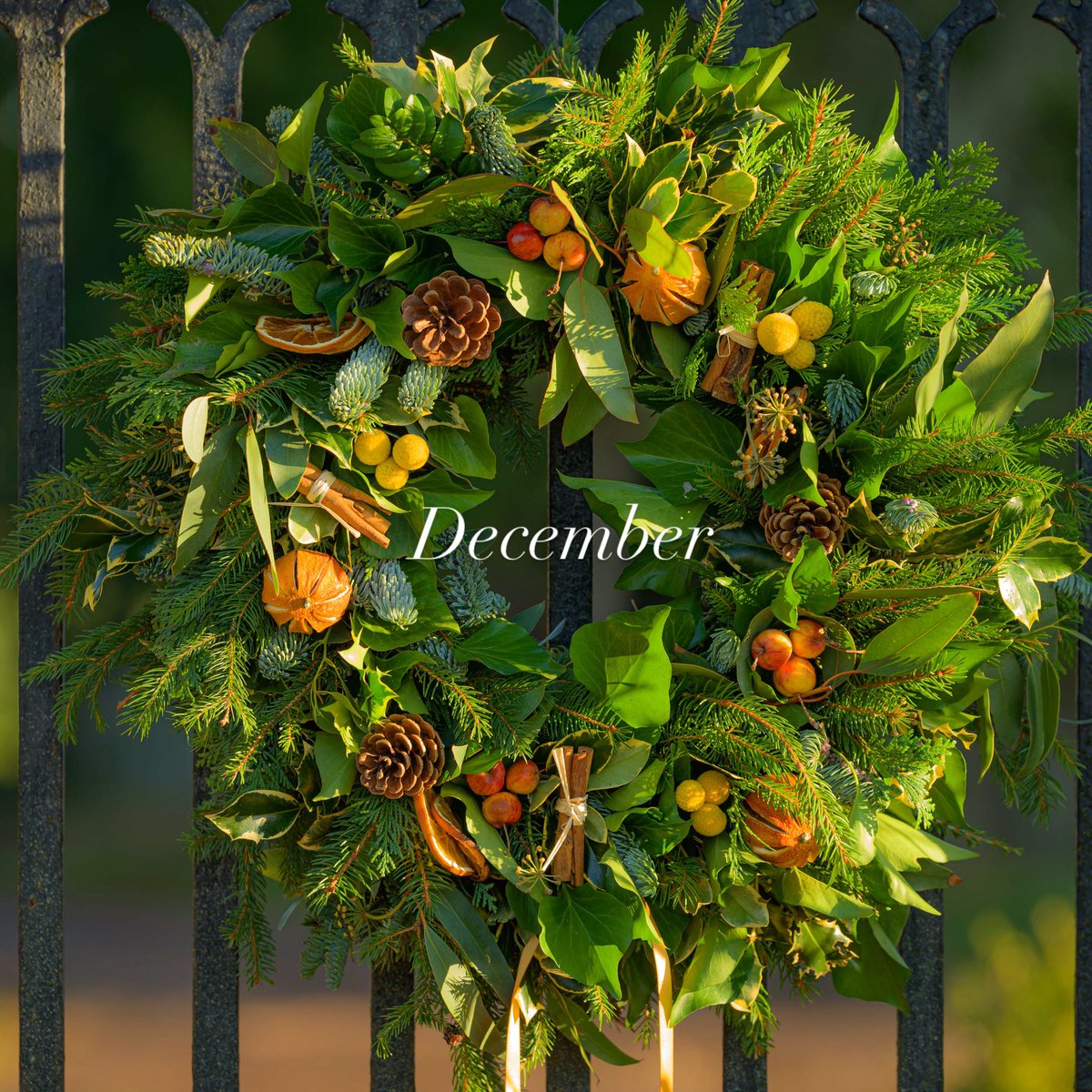 It all starts now!😀🎄🌟💚❤️💚