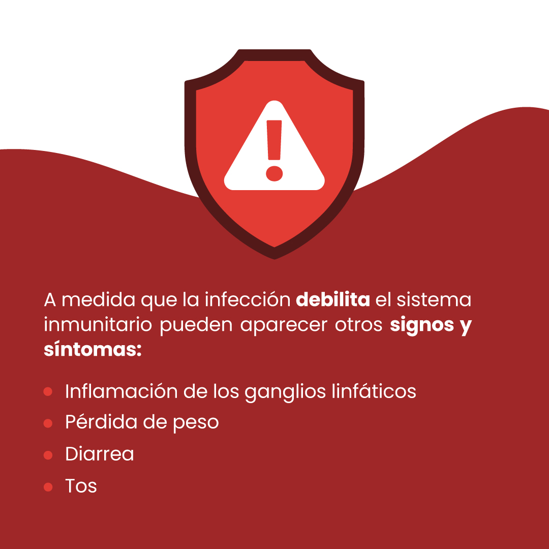 IESSec's tweet photo. ¡Es importante diferenciar entre VIH y Sida!
1️⃣ El VIH no se transmite por besos 💋o abrazos🫂 ni por compartir alimentos🥗
2️⃣ Las personas que tienen VIH no siempre desarrollan Sida. El tratamiento 💊 oportuno es esencial para evitarlo:
La #PreEp es una opción válida 🤝