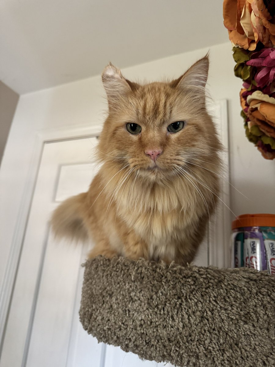 MBD⚡️ tweet media