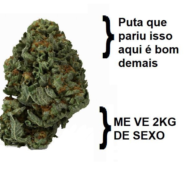 SpaceCannabis 🍃 (@spacecannabis) on Twitter photo 