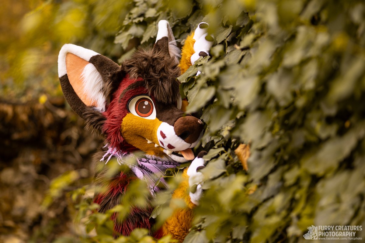 Have some triangles to brighten your late autumn. It's pretty cold here, but it can always be made cozier by a smiling yote.

🐺 <a href="/GanzoYote/">~CoyotingAround~</a>