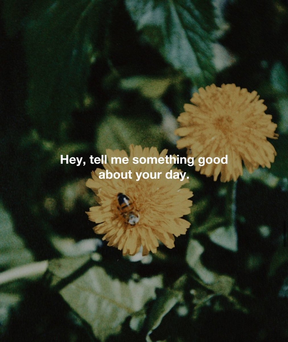 LifewithFND tweet media