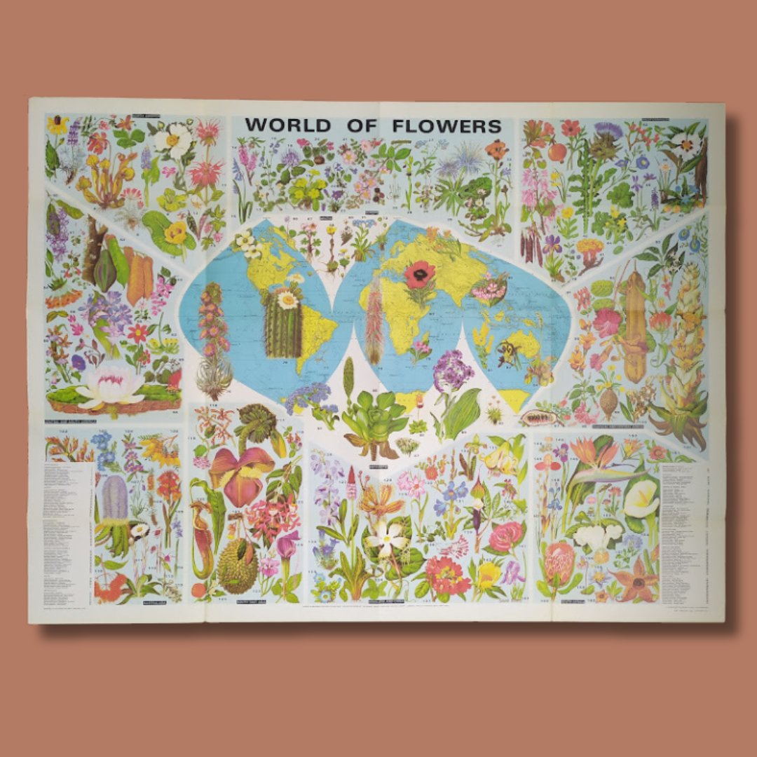 mapmapnmap's tweet image. 📜 "World of Flowers" by Barbara Everard, created in the 1970s 🌸
🦁 "World of Animals", a vibrant and educational showcase of the wonders of wildlife.
🌟 Size: 100x70 cm for both maps – perfect for adding a retro touch to your home or as a unique Christmas gift! 🎁