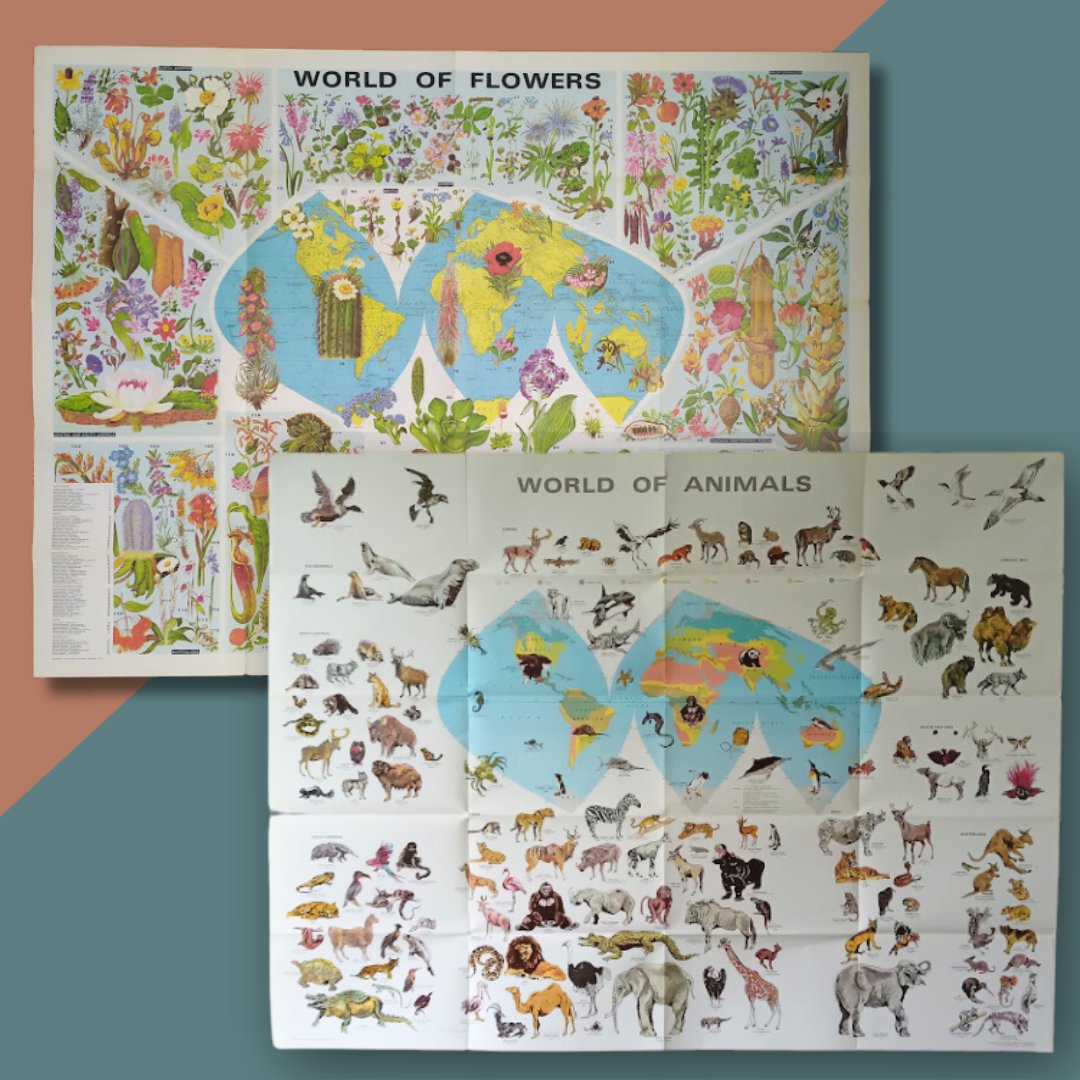 mapmapnmap's tweet image. 📜 "World of Flowers" by Barbara Everard, created in the 1970s 🌸
🦁 "World of Animals", a vibrant and educational showcase of the wonders of wildlife.
🌟 Size: 100x70 cm for both maps – perfect for adding a retro touch to your home or as a unique Christmas gift! 🎁