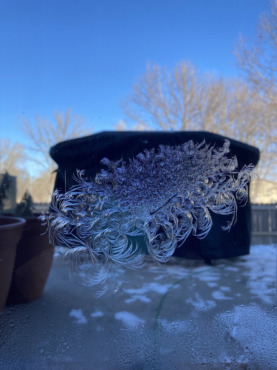 ddwitzz's tweet image. Warm winter wishes from South Dakota! So far the winter has given us some window art!