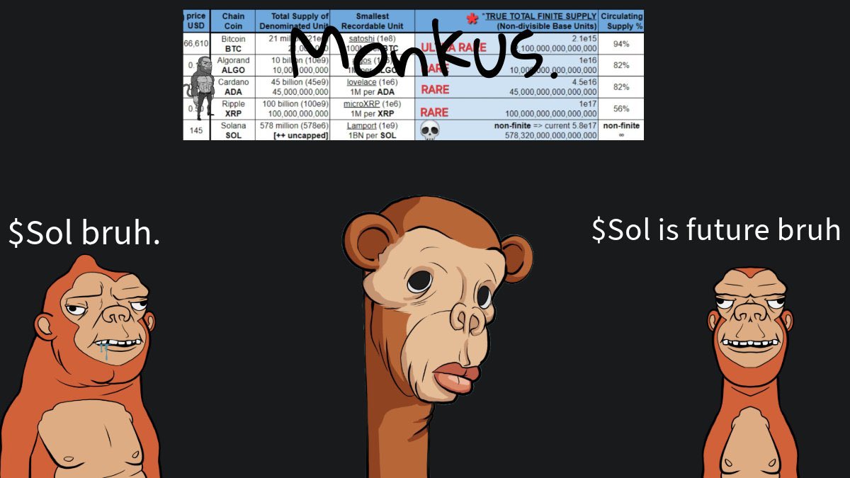 Snark_Ape's tweet photo. @0xprimdotfun #SOL the #Monkus chain. https://t.co/Ktfk12Aa5q