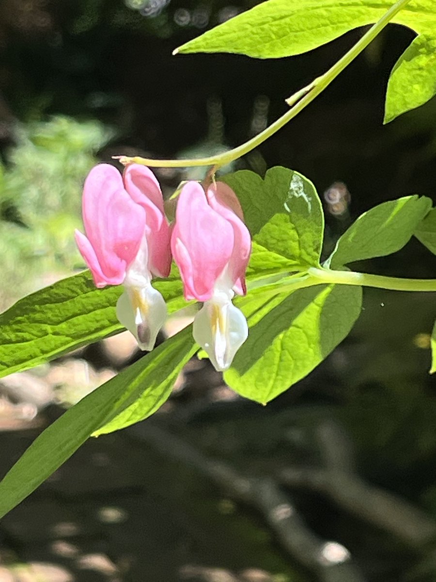 Cold today.

Inside and out.

Trying.