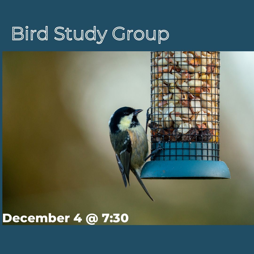 This Wednesday at 7:30pm! Come learn everything about bird feeders from Nature Calgary’s president Kaya Konopnicki at this month’s Bird Study Group. Members will receive an email with the zoom link on the day of the event.