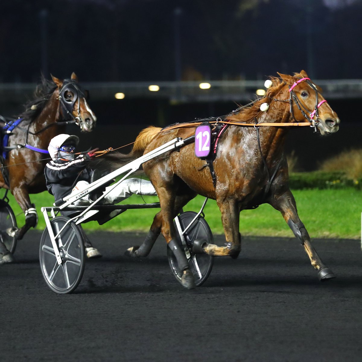 🏆 𝗟𝗘𝗧𝗥𝗢𝗧 𝗢𝗣𝗘𝗡 𝗗𝗘𝗦 𝗥𝗘́𝗚𝗜𝗢𝗡𝗦 𝟮𝟬𝟮𝟰 - Tableau d'honneur

🐴 3 ans - L'As Desbois (William Bigeon)
🐴 4 ans - Krooner d’Heripre (Romain Derieux)
🐴 5 ans - Jilord Viva (Julien Raffestin)