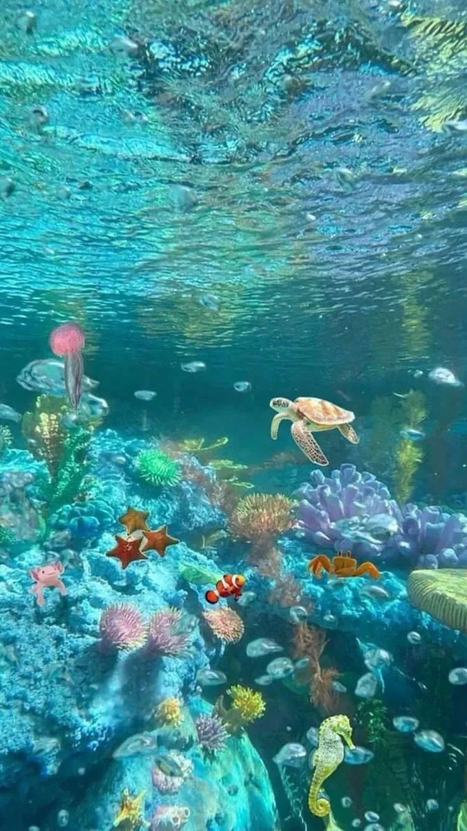 artindetails's tweet photo. aquarium date https://t.co/KL0yG7SGgX
