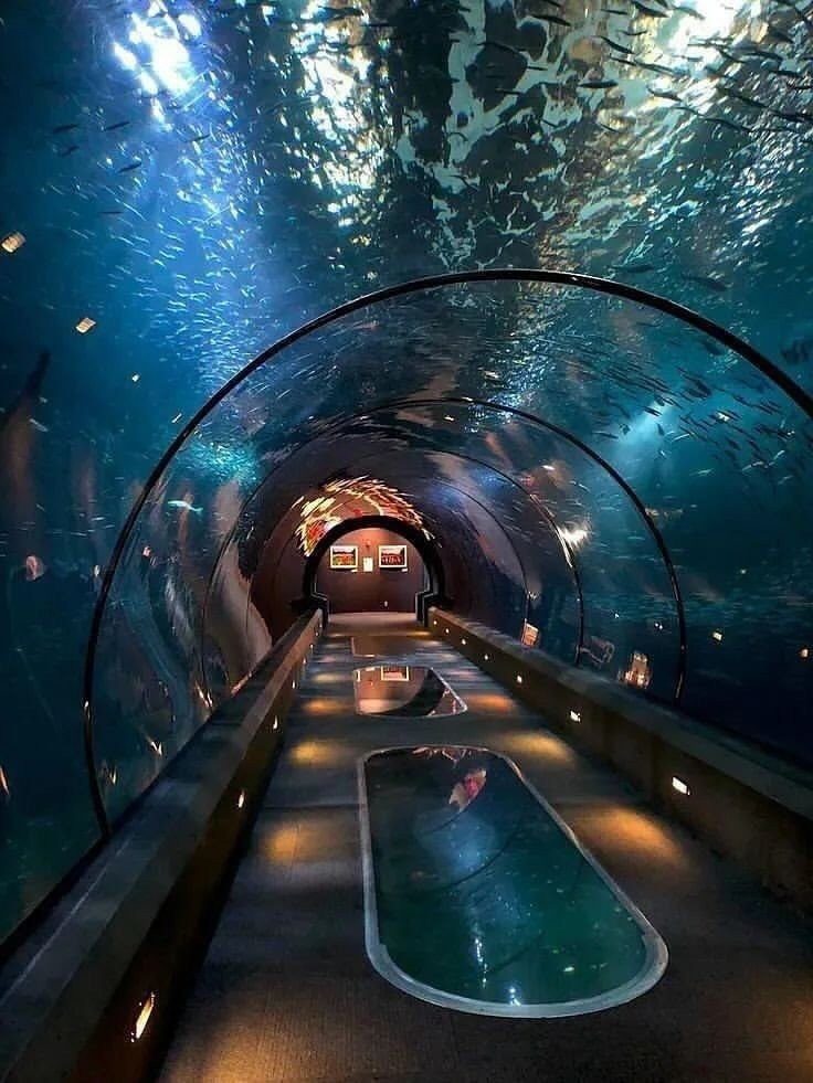 artindetails's tweet photo. aquarium date https://t.co/KL0yG7SGgX
