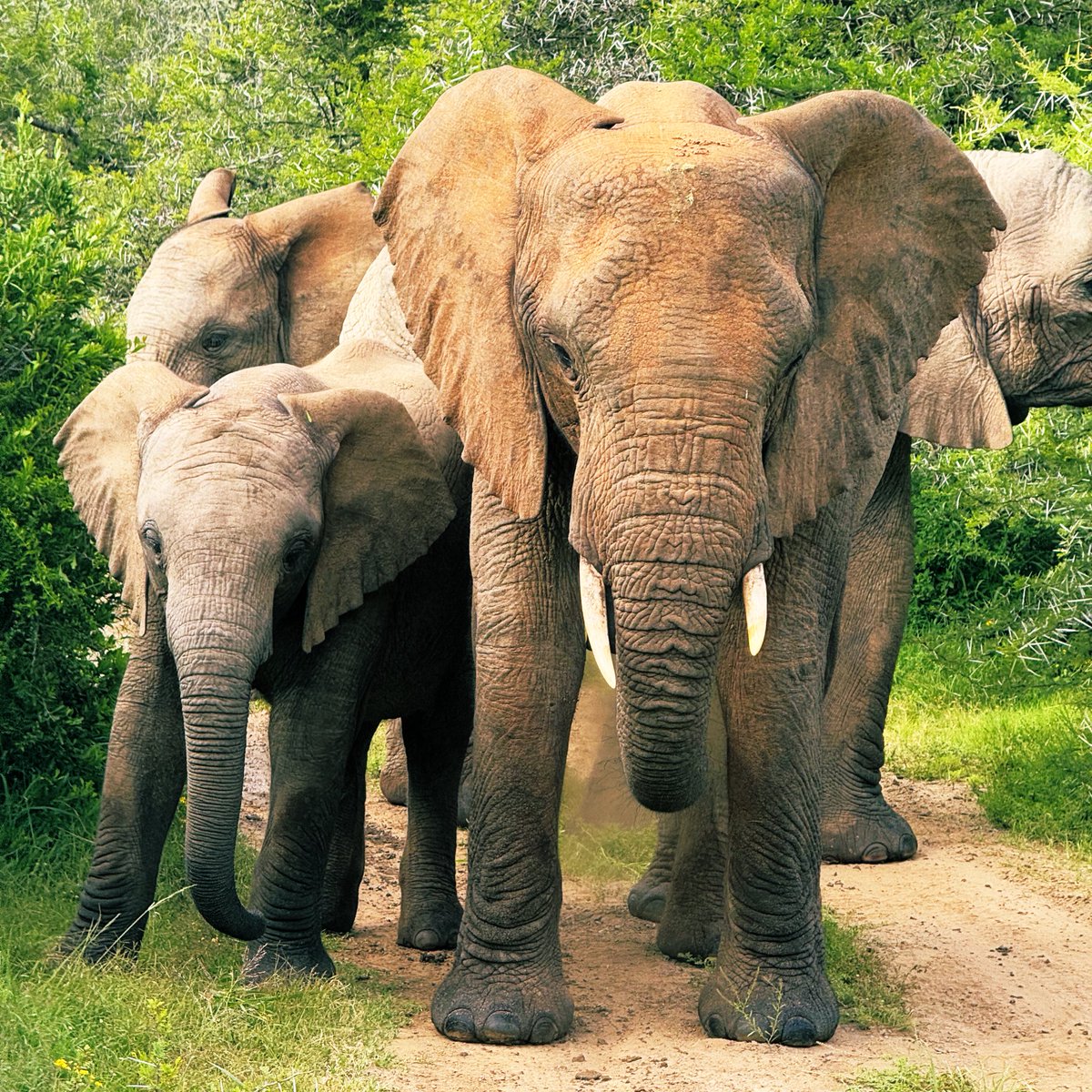 Peter Finch tweet media