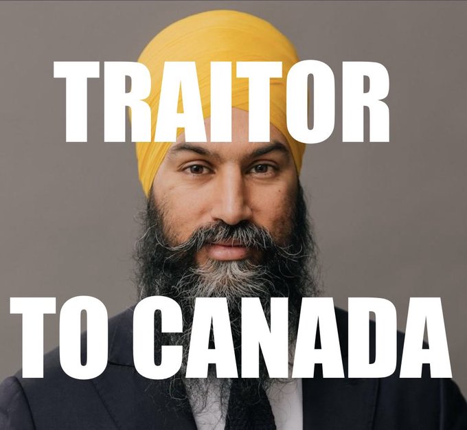 St34dyFr3ddy's tweet image. Says @theJagmeetSingh #wefpuppet @NDP